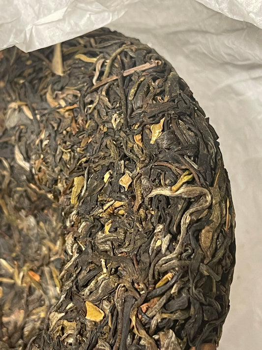 2021 Altered State Pu'erh