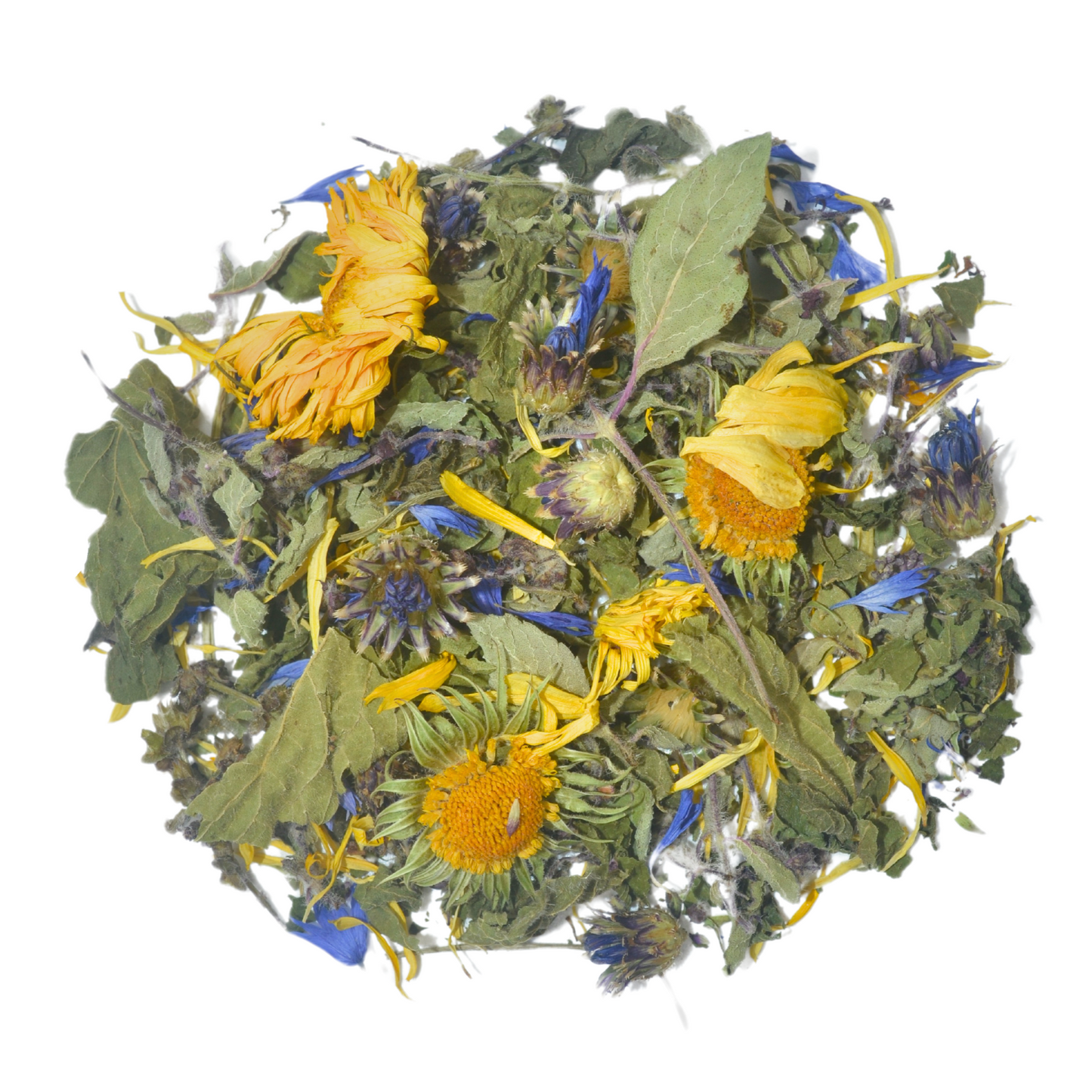 Tulsi Blue