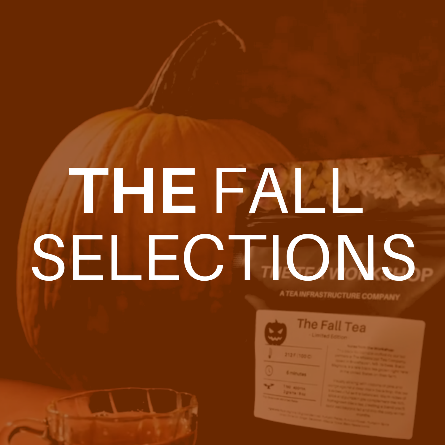 2025 FALL SELECTIONS