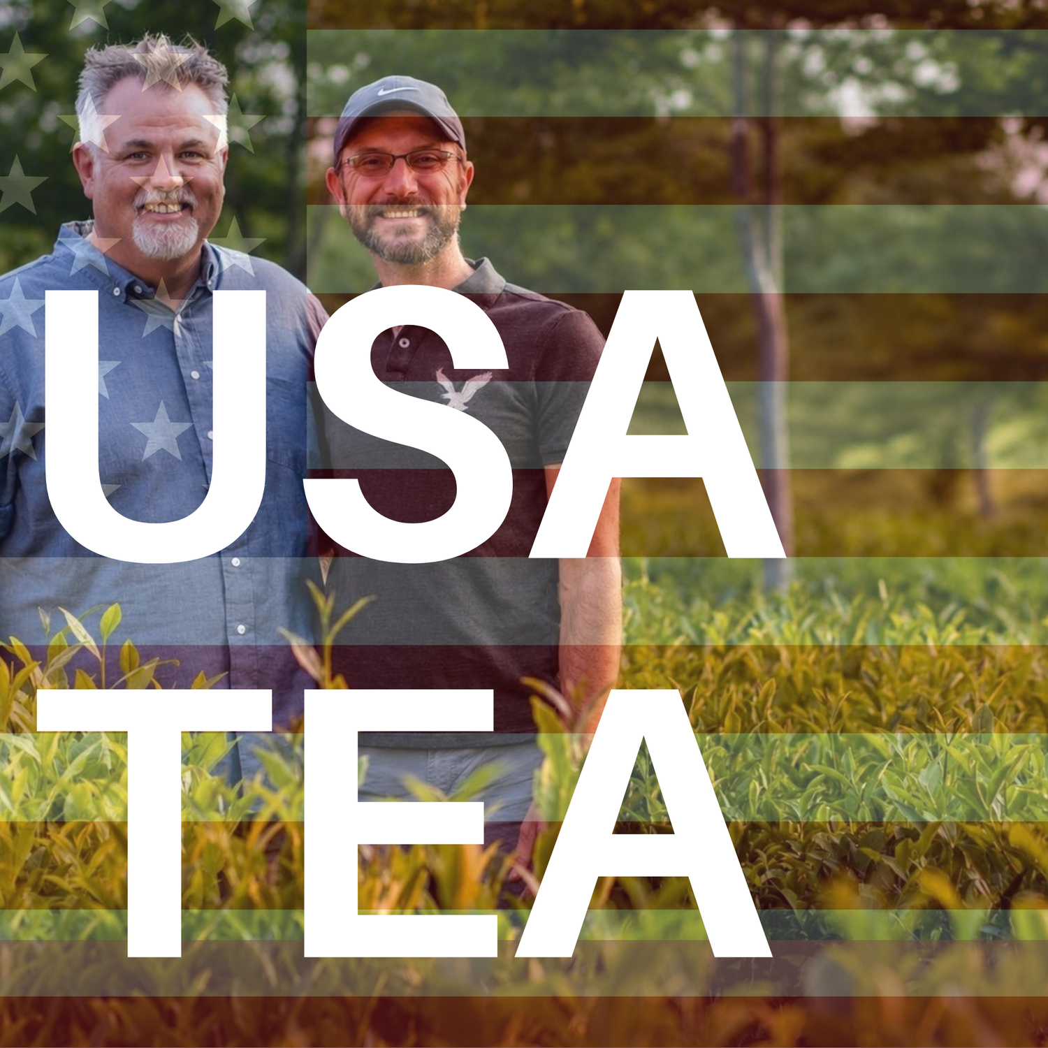USA GROWN TEAS