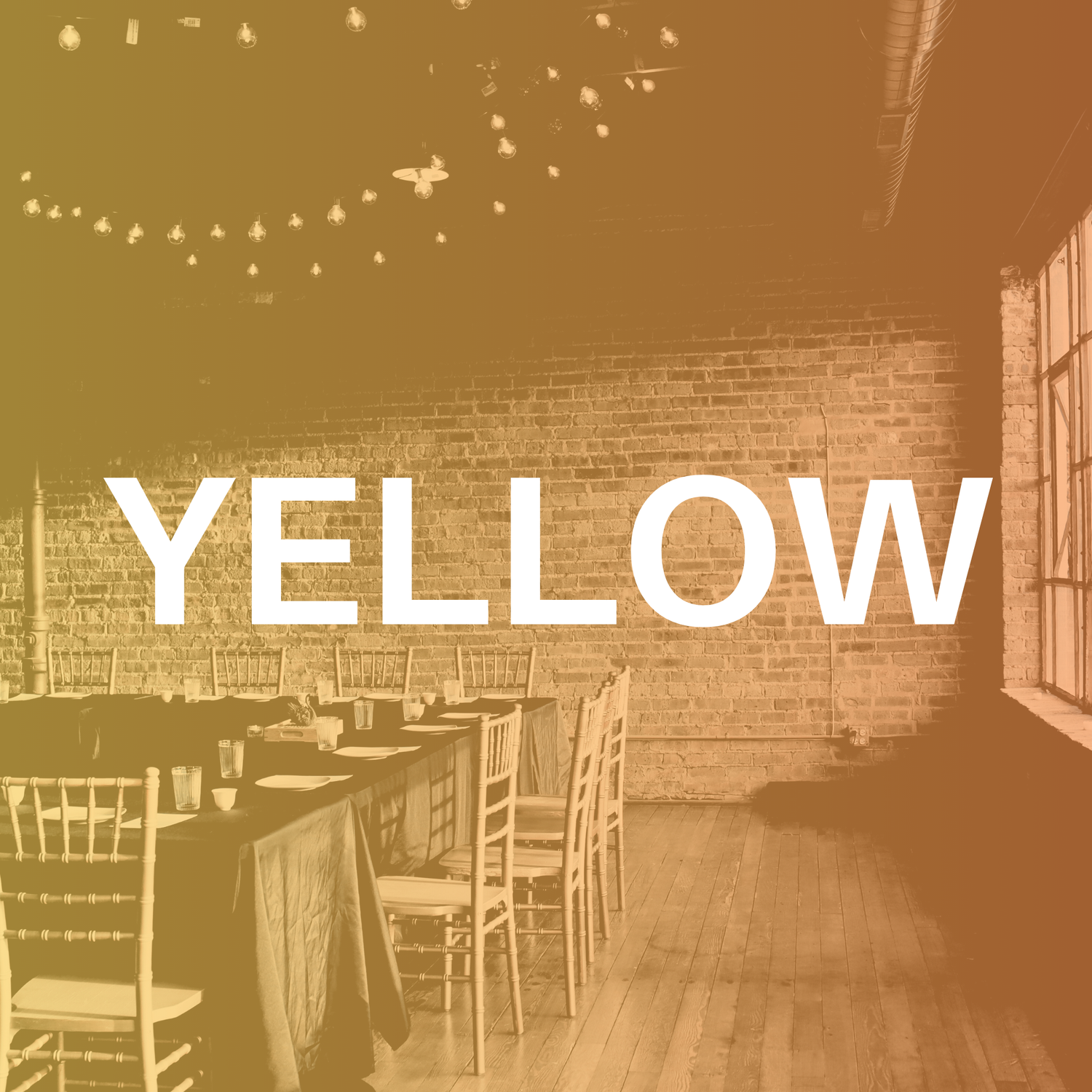 Yellow Tea