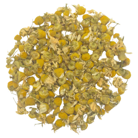 Aegean Chamomile